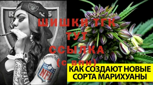 соль ск Абинск