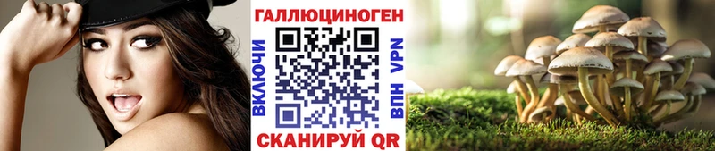 Галлюциногенные грибы Psilocybe  Краснодар 