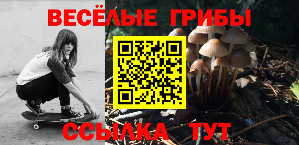 Псилоцибиновые грибы Psilocybe Краснодар